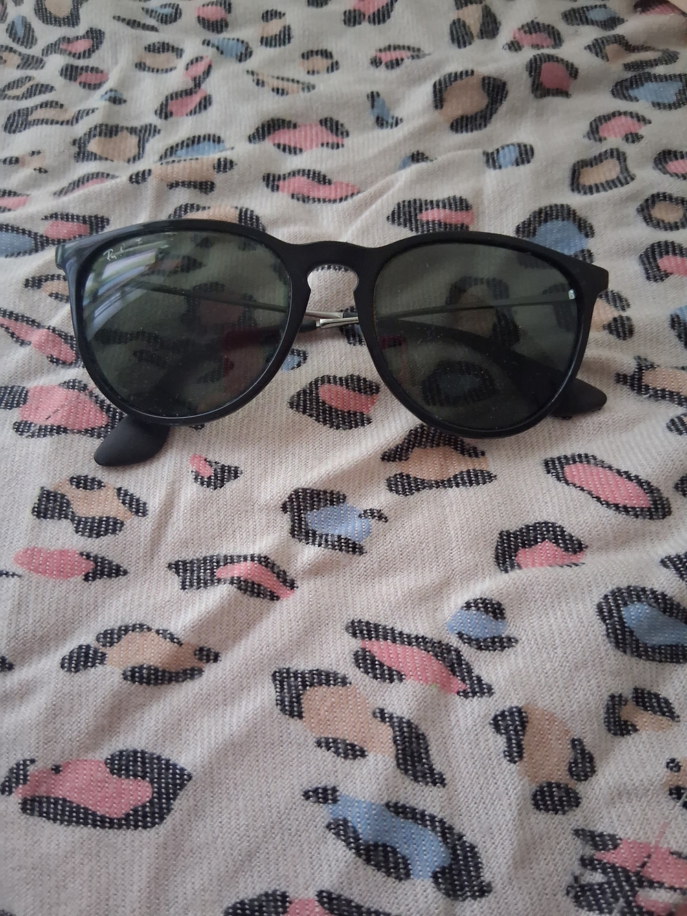 Ray-Ban Black Frame Sunglasses